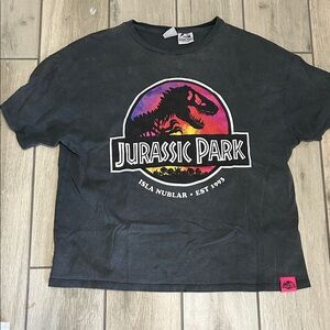 Zara Kids Jurassic Park Black T-Shirt